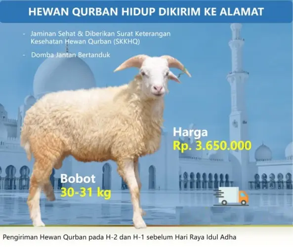 Kurban - Qurban Domba  serang